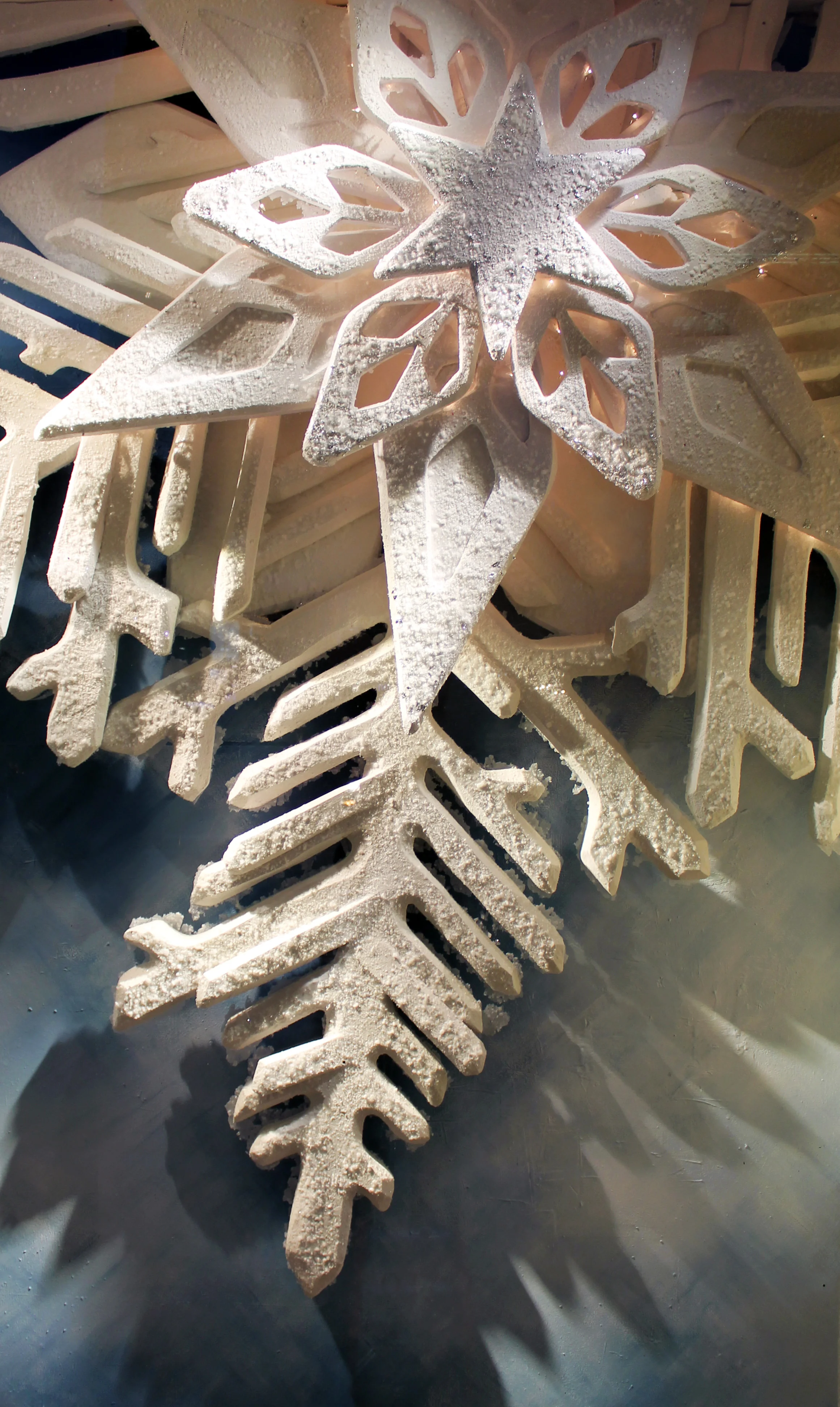 Snowflake detail 3.jpg
