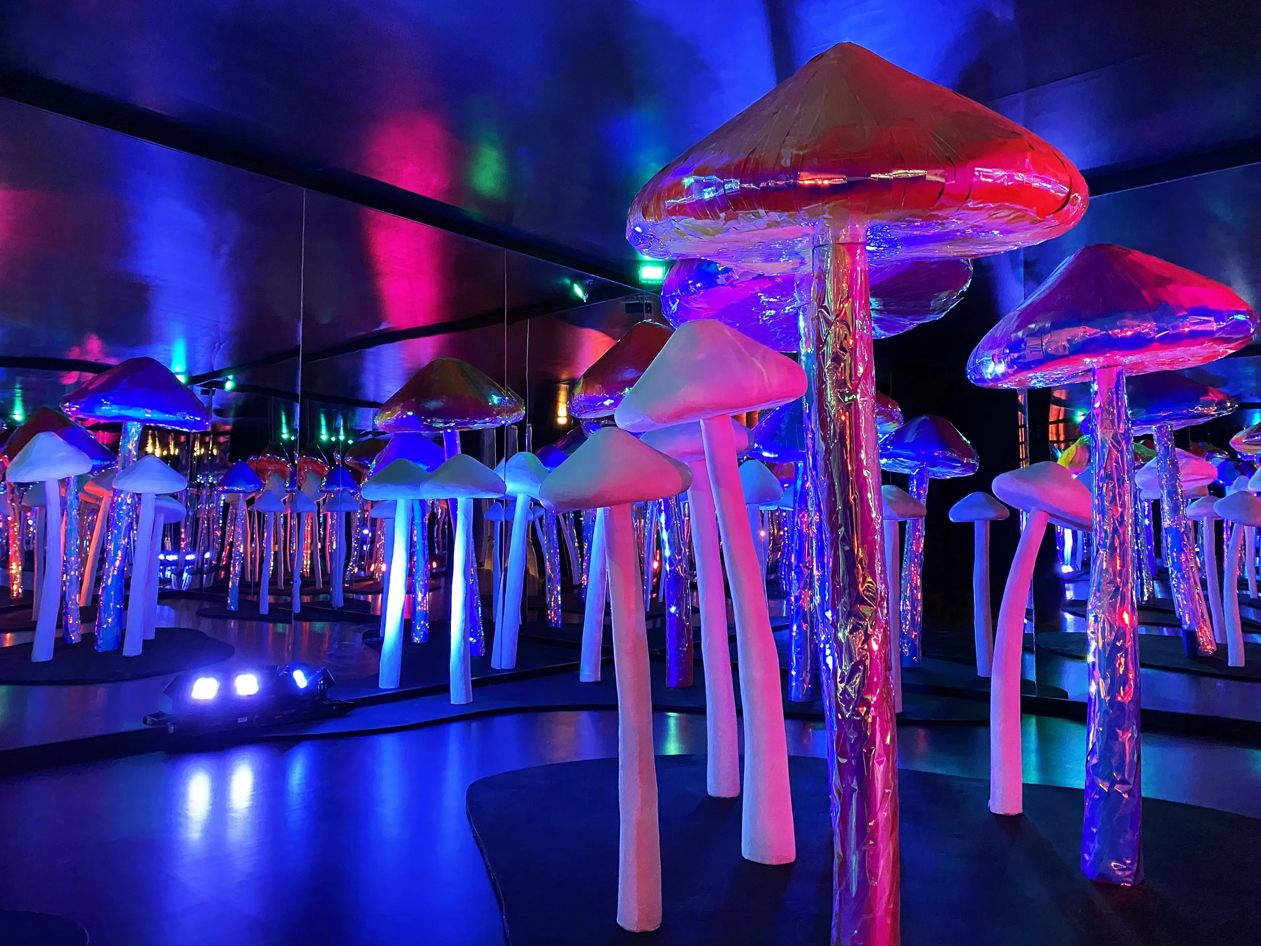 Mushroom post 2.jpg