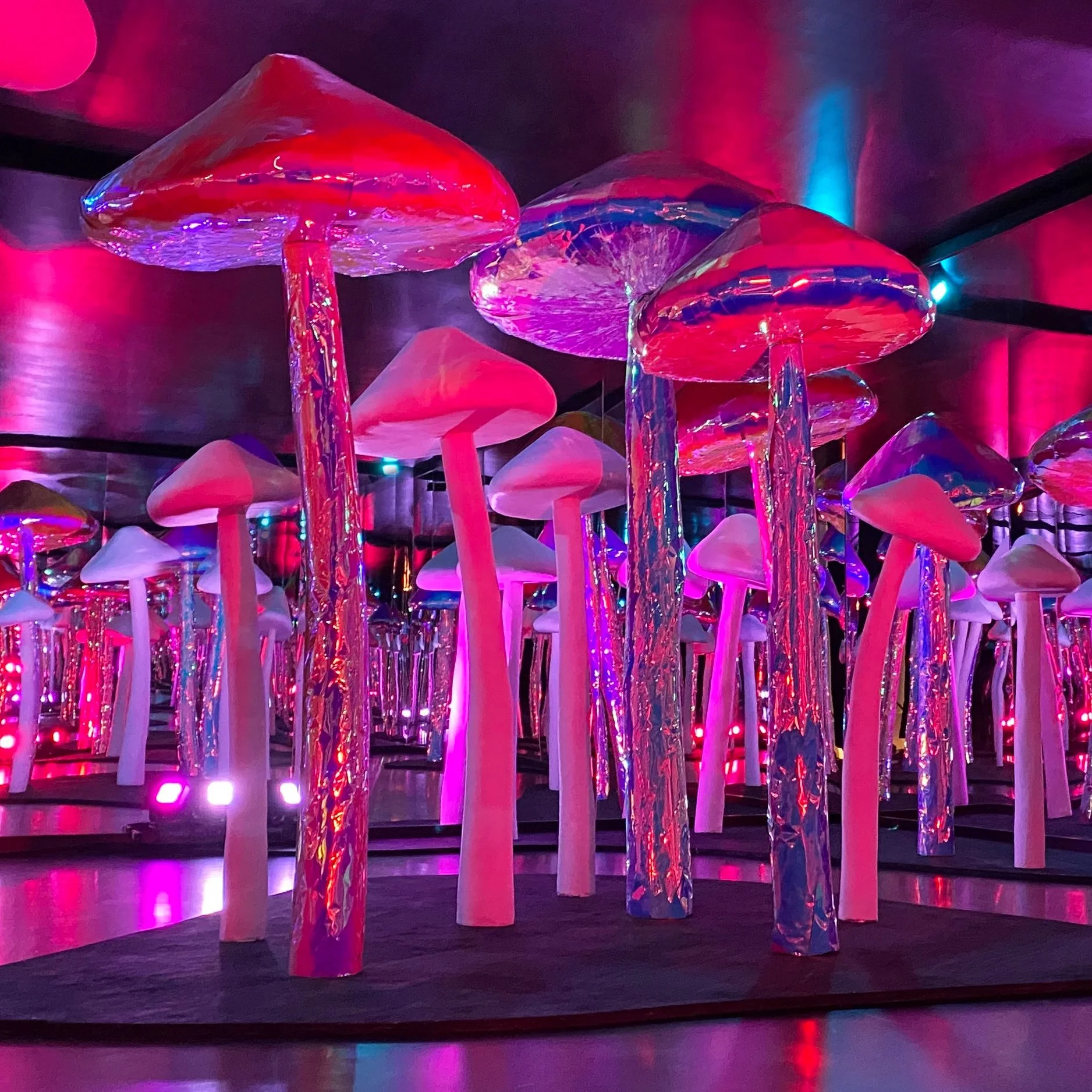 SHROOM+ROOM.jpg