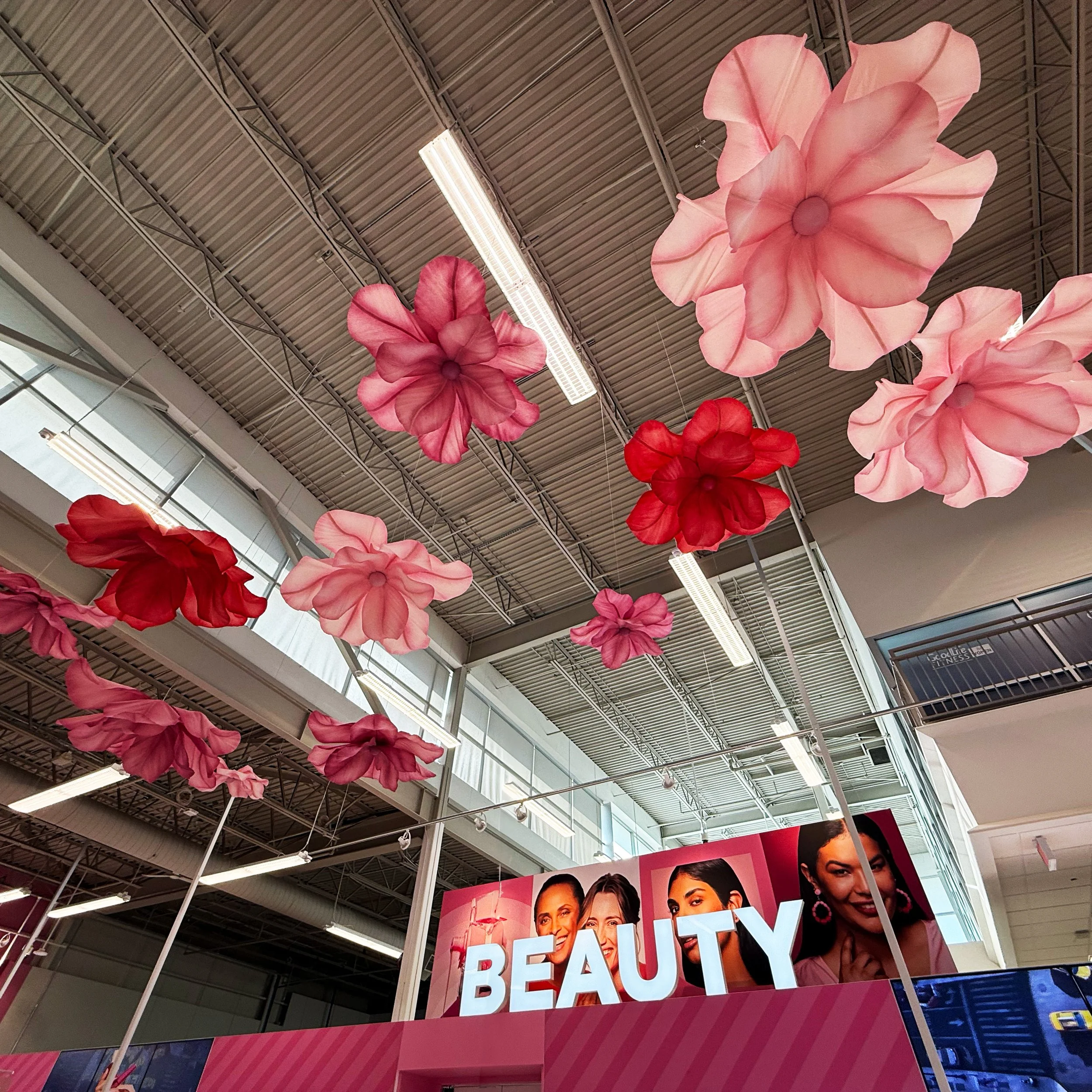 Loblaws1.jpg