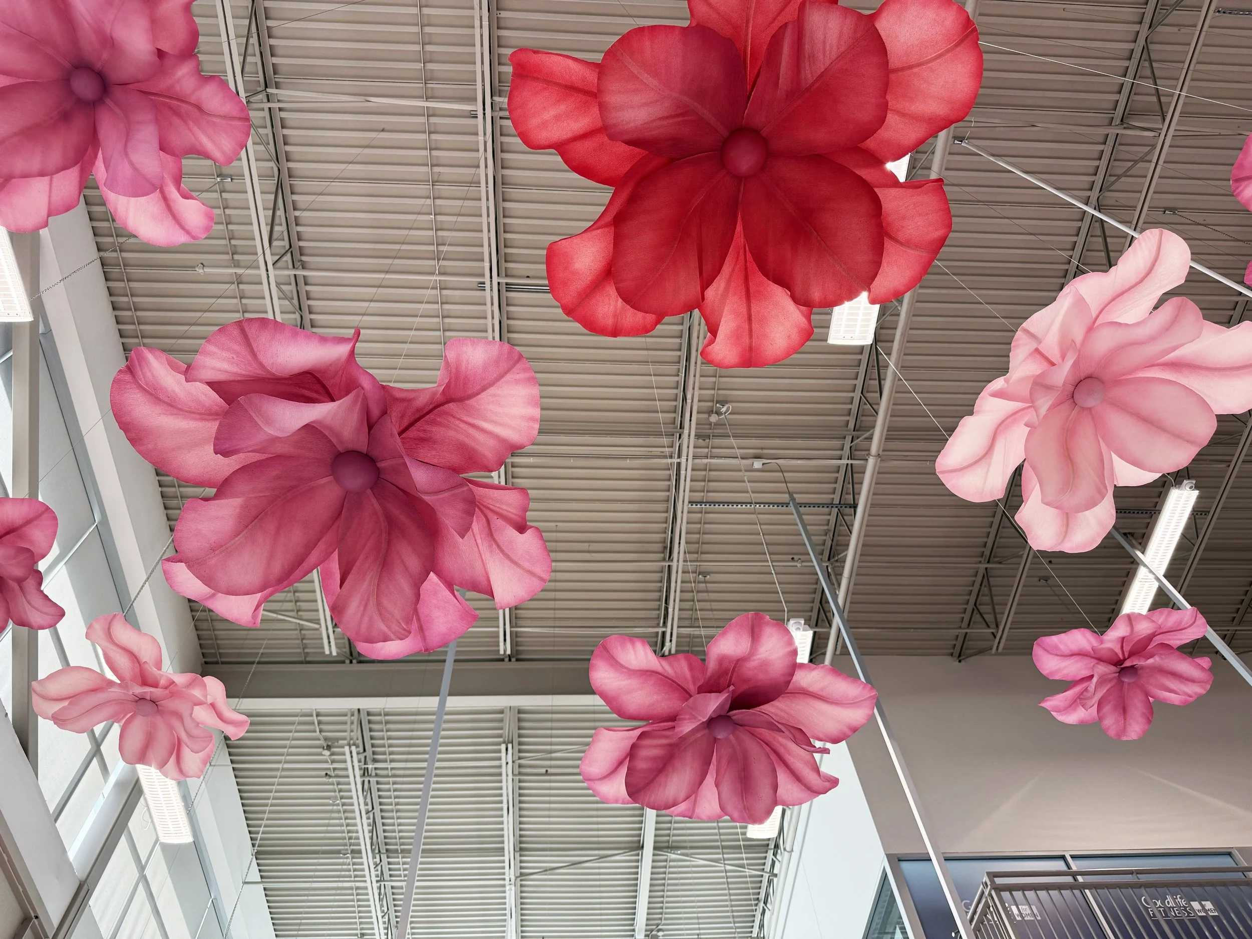 Loblaws3.jpg