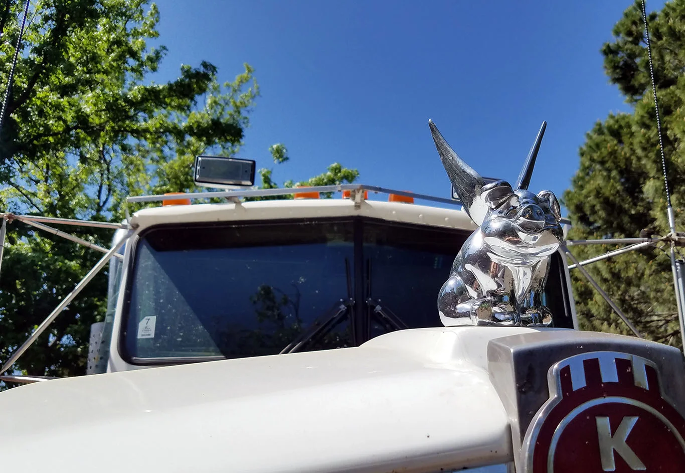 20180425_150424.jpg