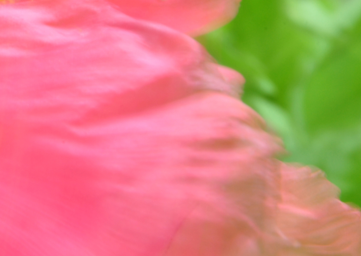 pinkgreen-abstract.jpg