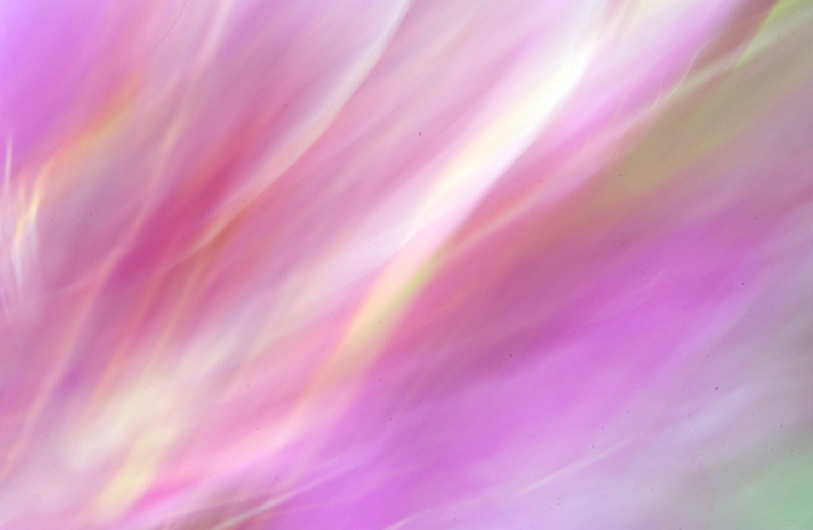 peony-light-movement-abstract-skin.jpg