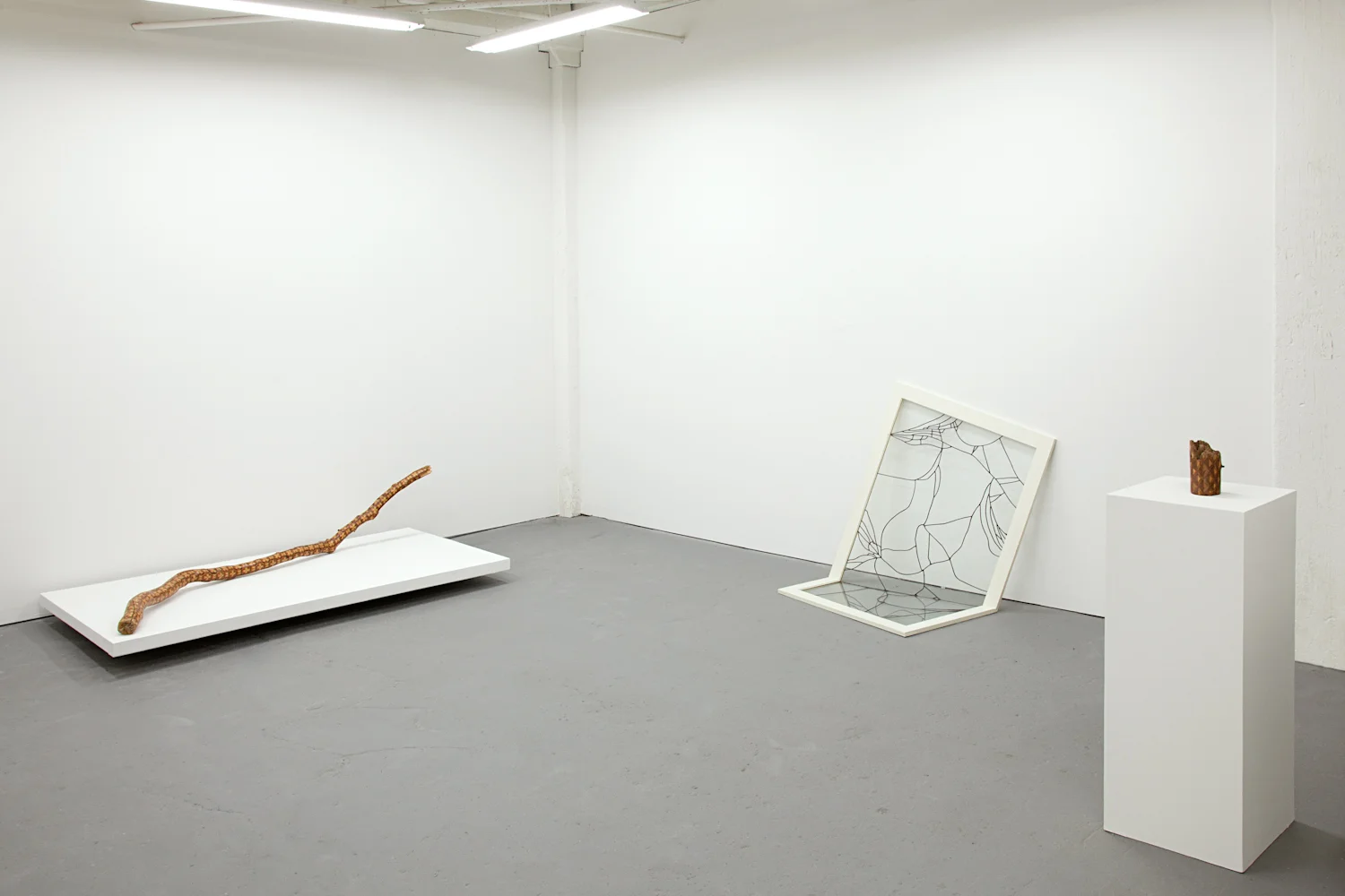 Dose Projects, Solo Exhibition by Amelia Bauer, 2014