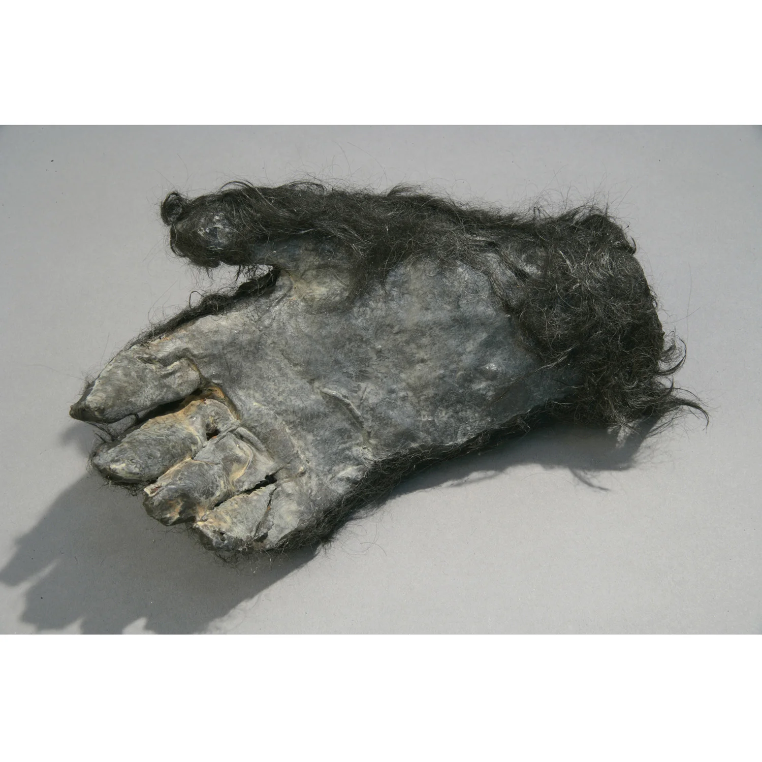 Glove 2007 mixed media, dog fur life size