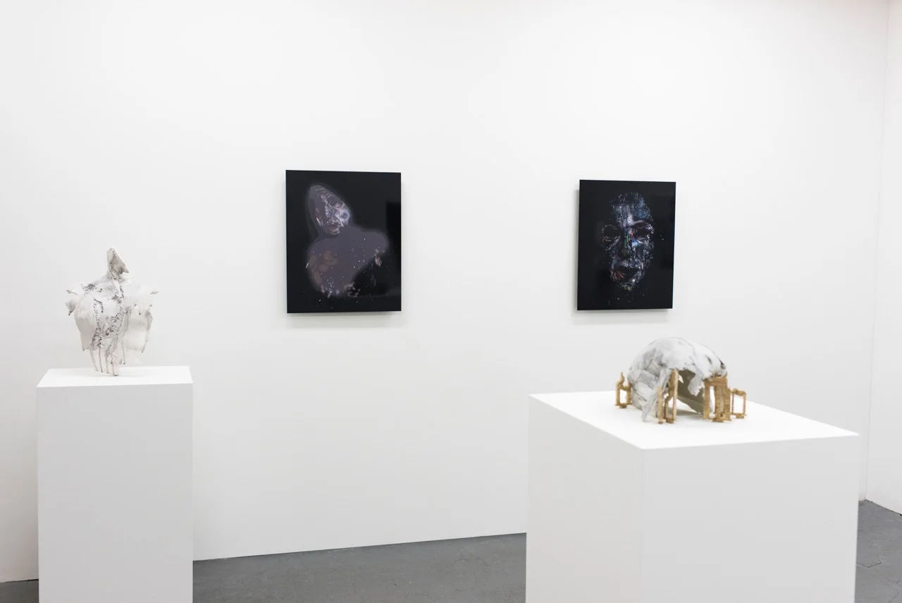 phantom-limb-dose-projects-05.jpeg