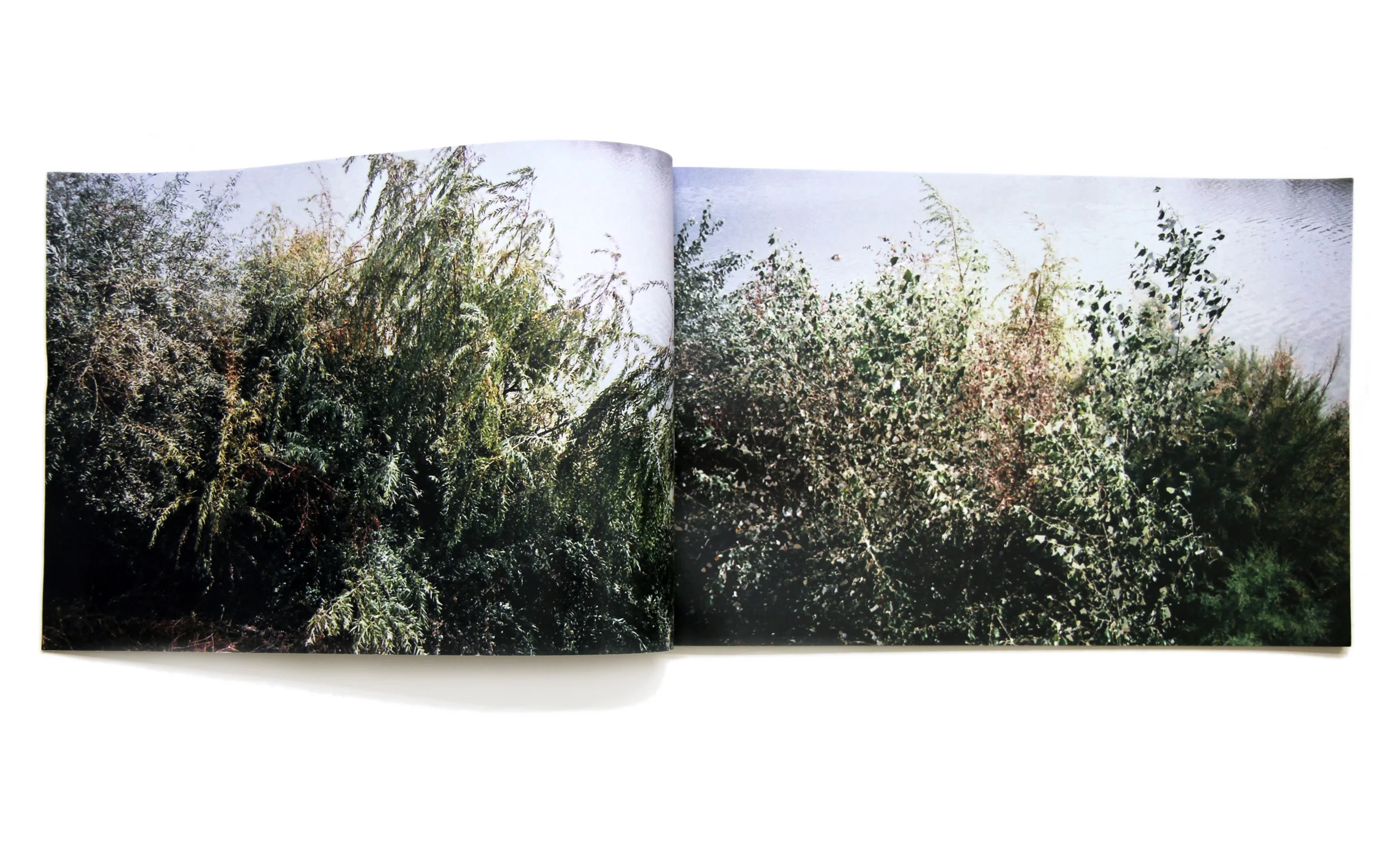 River Trees 2016 colour laser print artist book 10" x 15" 10 pages edition of 40