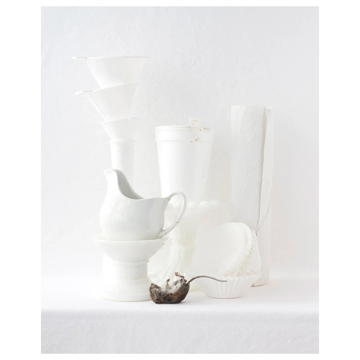 Still Life with Mouse 2011 Archival Pigment Print on rag paper 10 x 8 inch image on 11 x 8.5 inch paper edition of 10