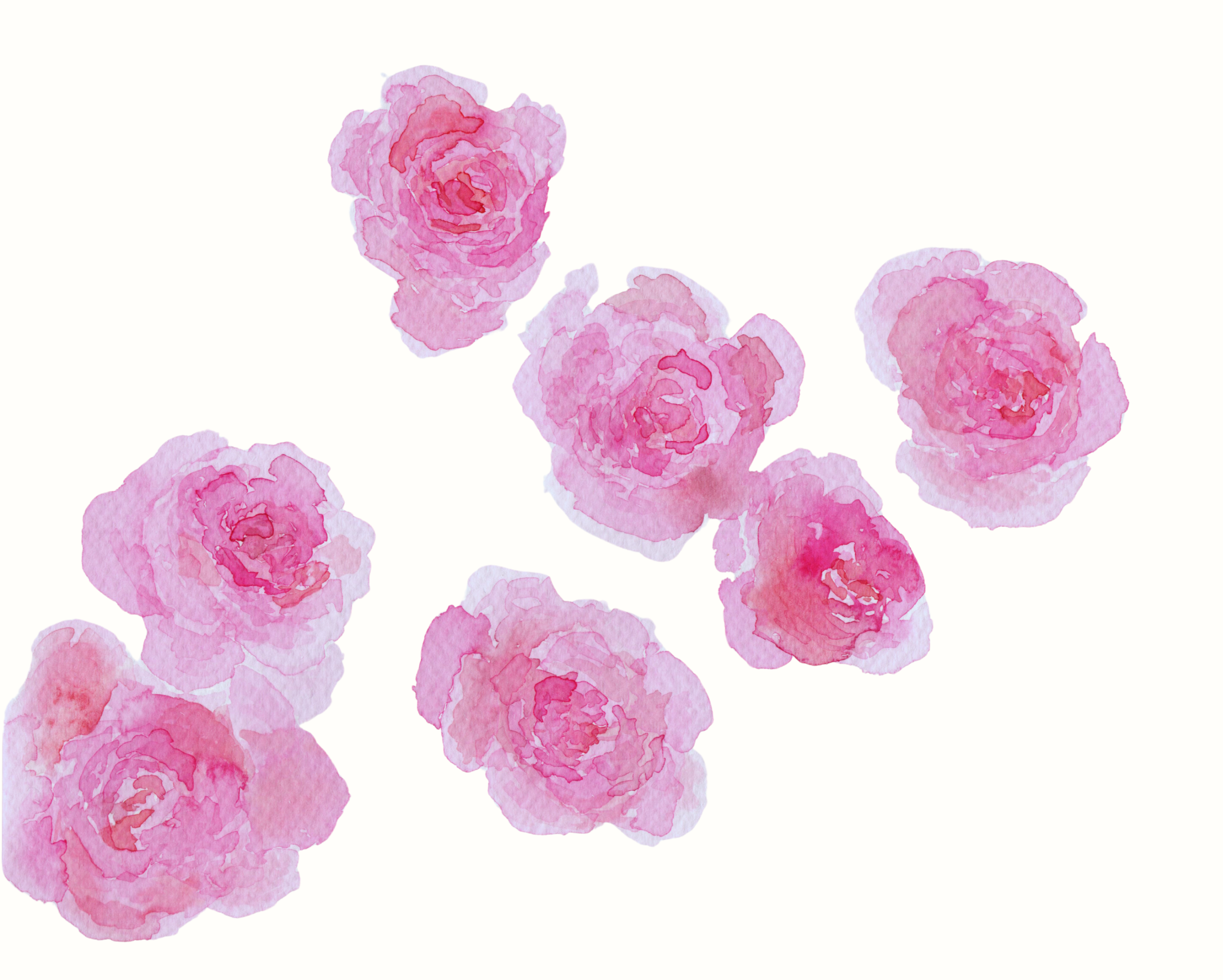 roses for website 2_FFEFA.png