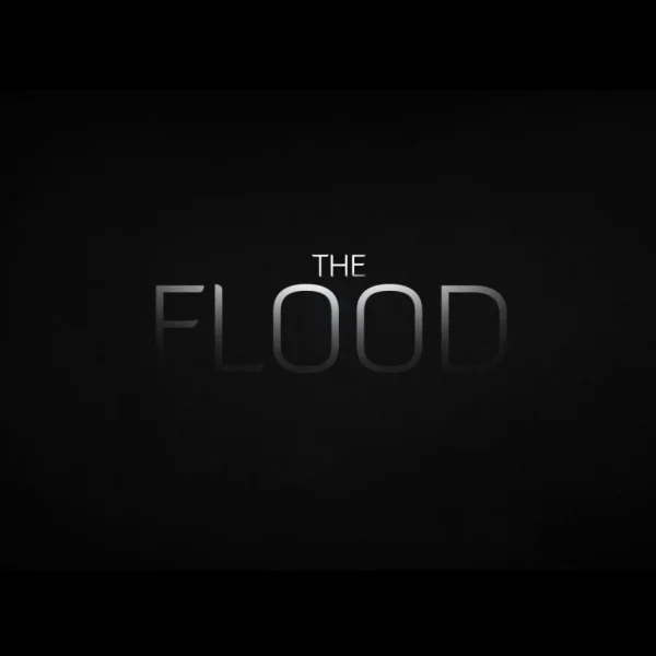 The Flood.jpg