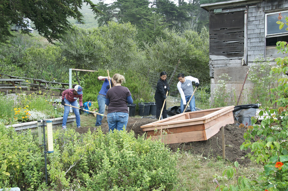 Clif Bar Volunteer Day At Slide Ranch - garden bed making(1000px).jpg