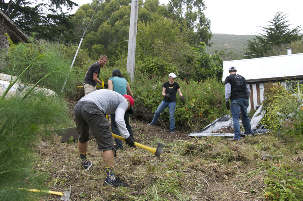 Clif Bar Volunteer Day At Slide Ranch - invasive species removal_4(1000px).jpg