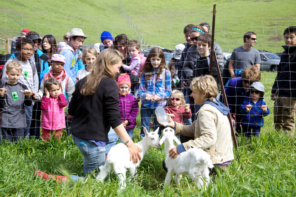 Spring Fling 2014_Baby Goat Feeding.jpg