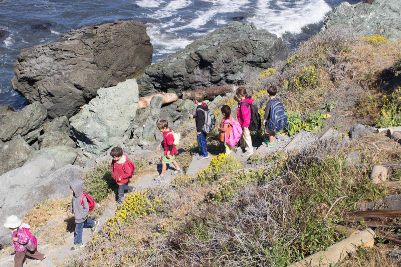 hike-to-tidepools.png