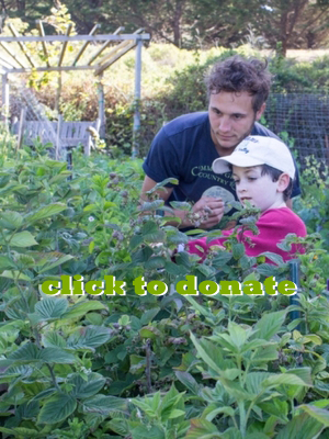 campschol_SR_donate.jpg