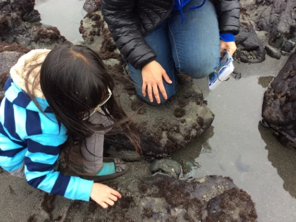 ... the first time they explored tide pools.