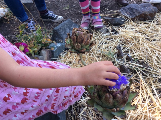 Summer Camp July 27, 2015 - 7 of 36.jpg