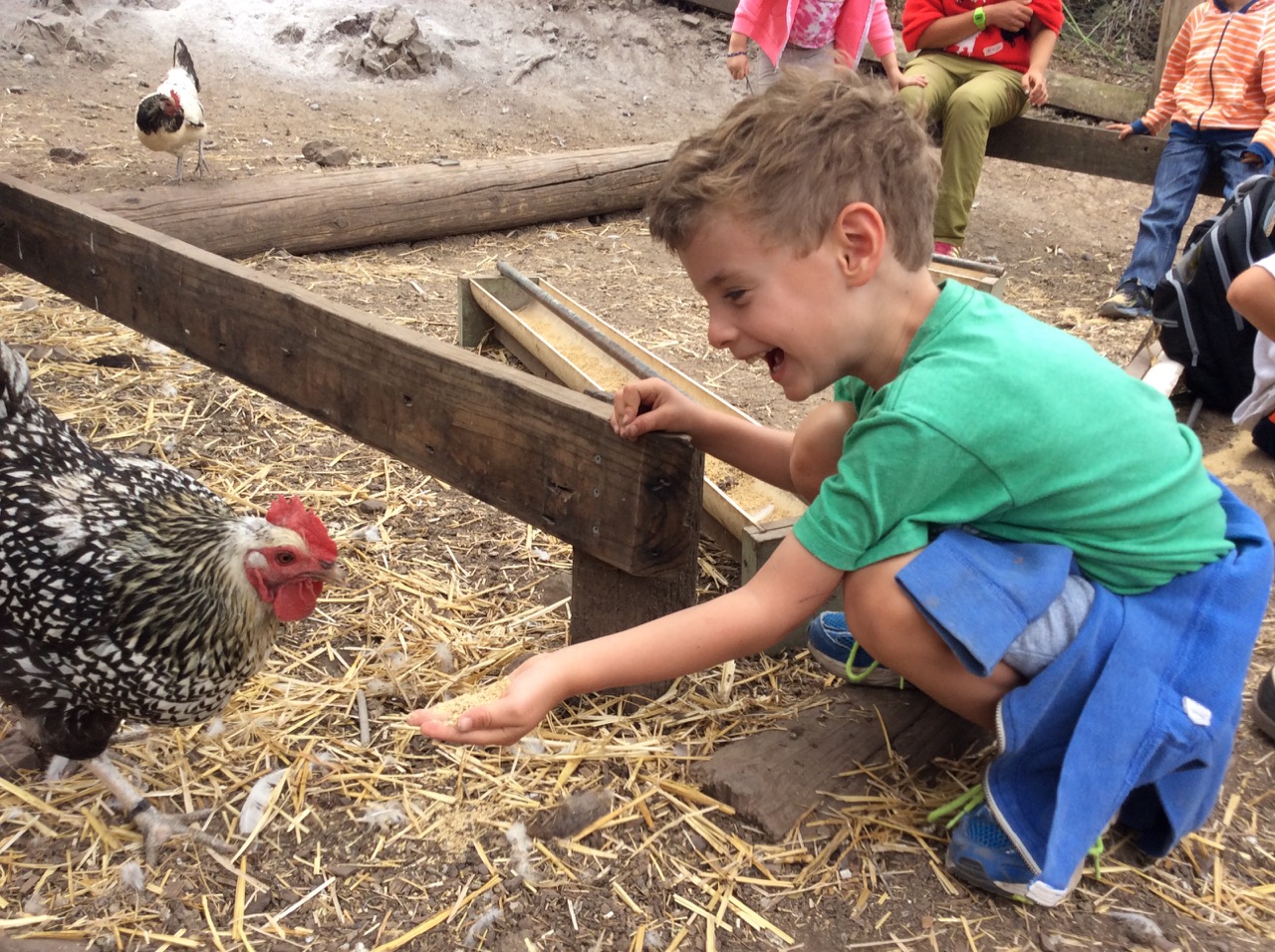 Slide Ranch Summer Camp Highlights 2015 - 49 of 71.jpg