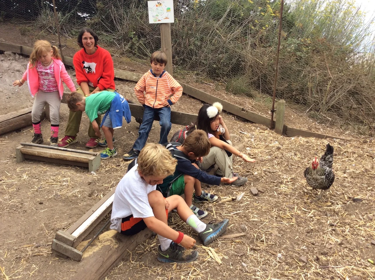 Slide Ranch Summer Camp Highlights 2015 - 48 of 71.jpg