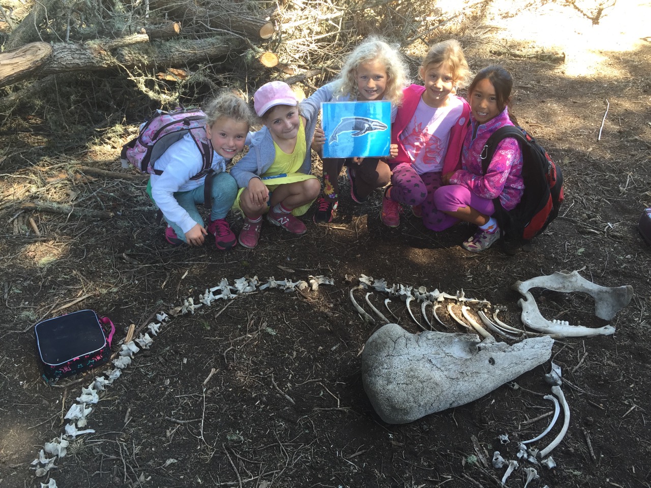 Slide Ranch Summer Camp Highlights 2015 - 20 of 71.jpg