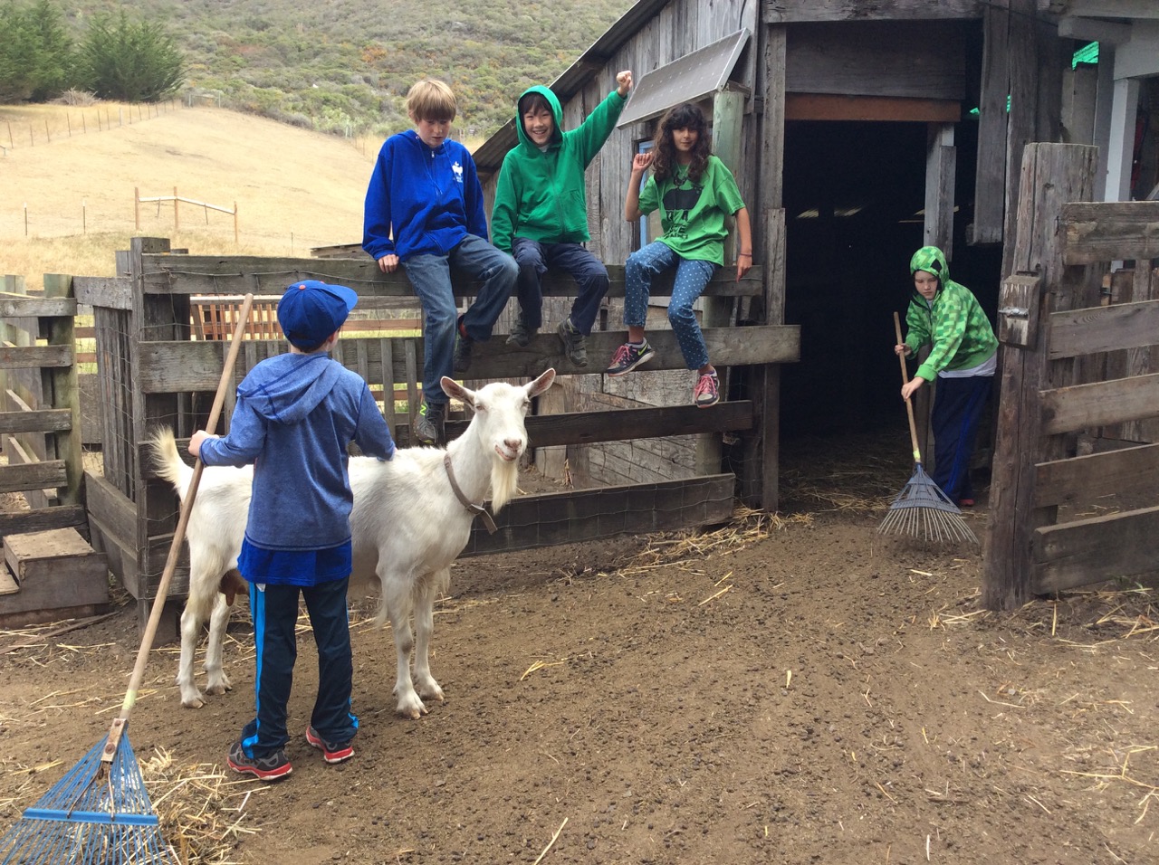 Slide Ranch Summer Camp Highlights 2015 - 4 of 71.jpg