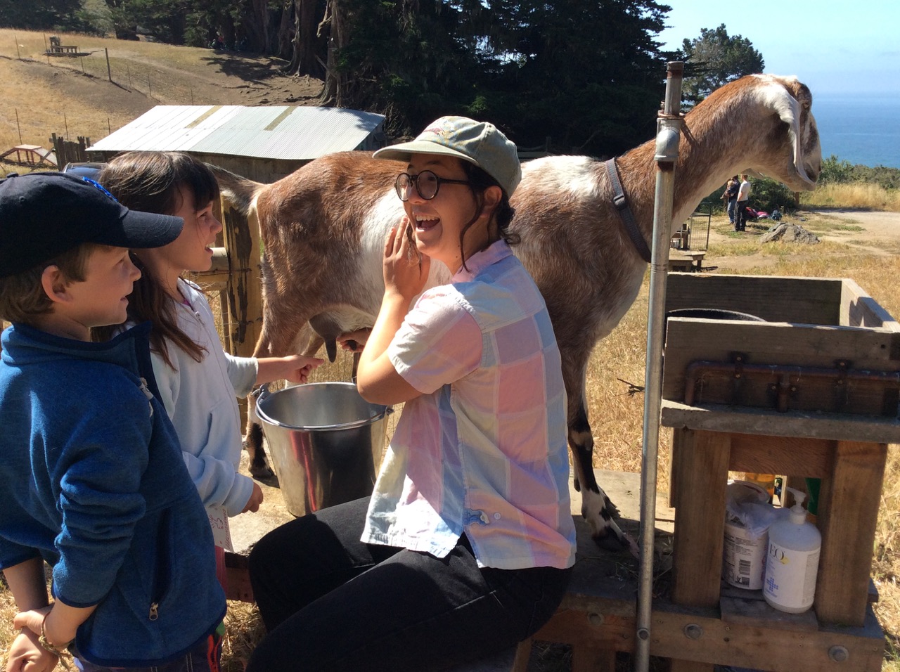 Slide Ranch Summer Camp Highlights 2015 - 6 of 71.jpg