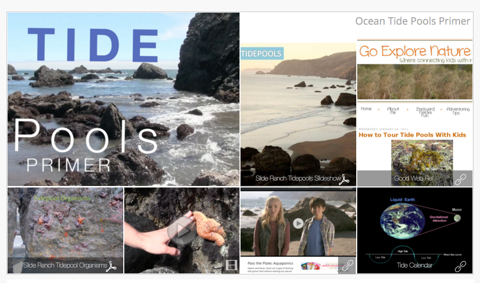 Tide Pools - Preview the tide pools at Slide Ranch - our coastal education area, and learn about their unique biodiversity and ecosystem.