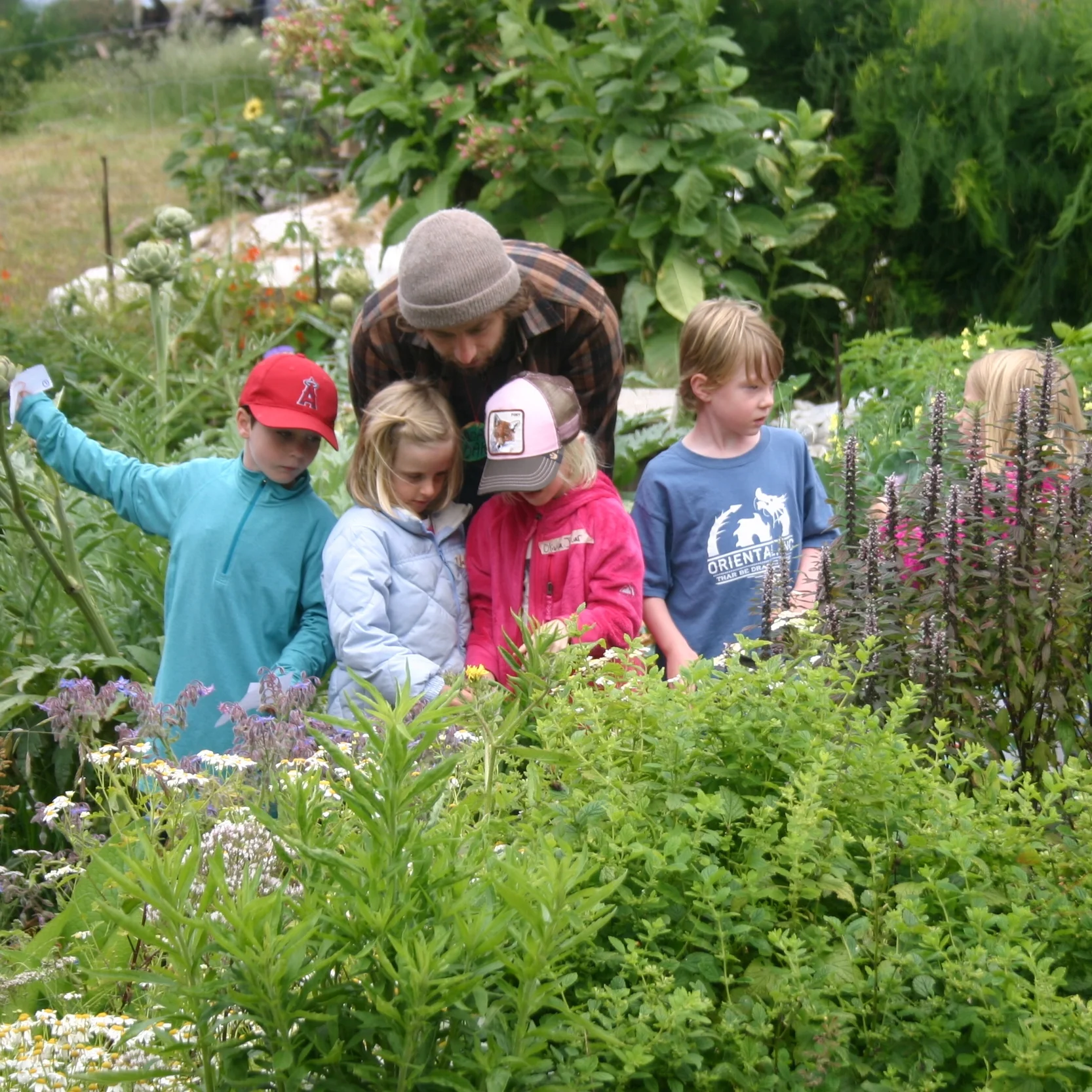 Slide Ranch's TeacherInResidence Applications Have Opened for 2017 — Slide Ranch