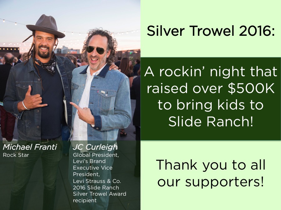 Re-live Silver Trowel 2016!