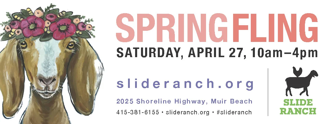 Spring Fling Bannerv2.jpg