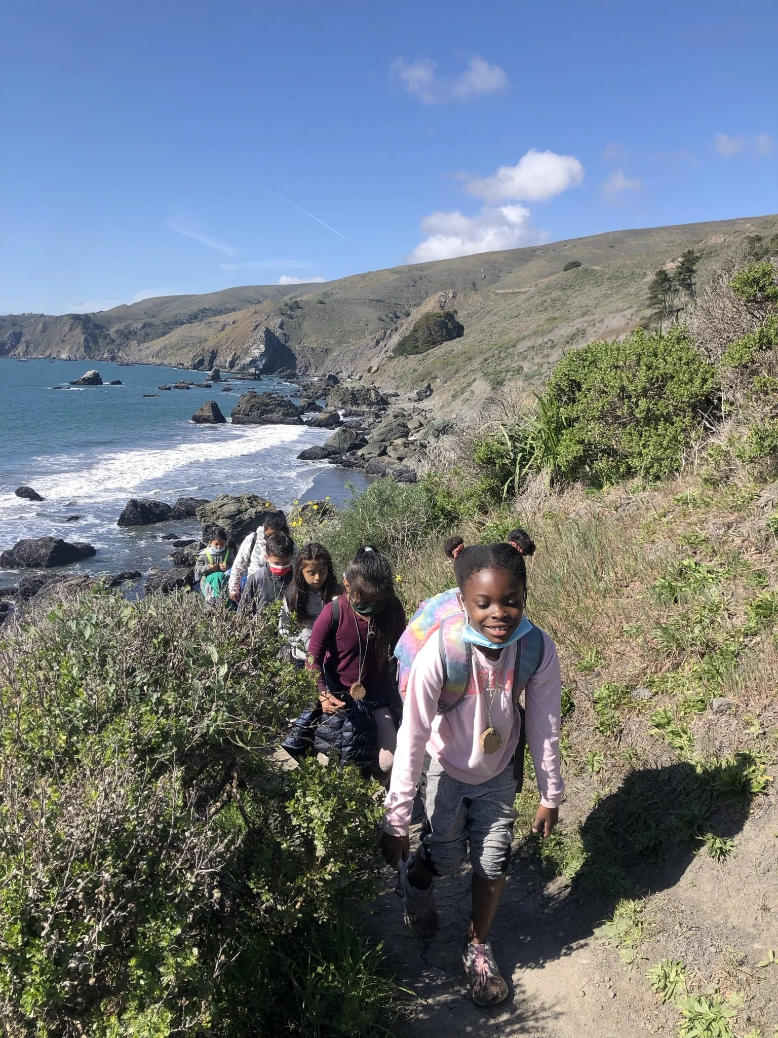 The Power of Resilience: How nature nurtures stronger, more resilient ...