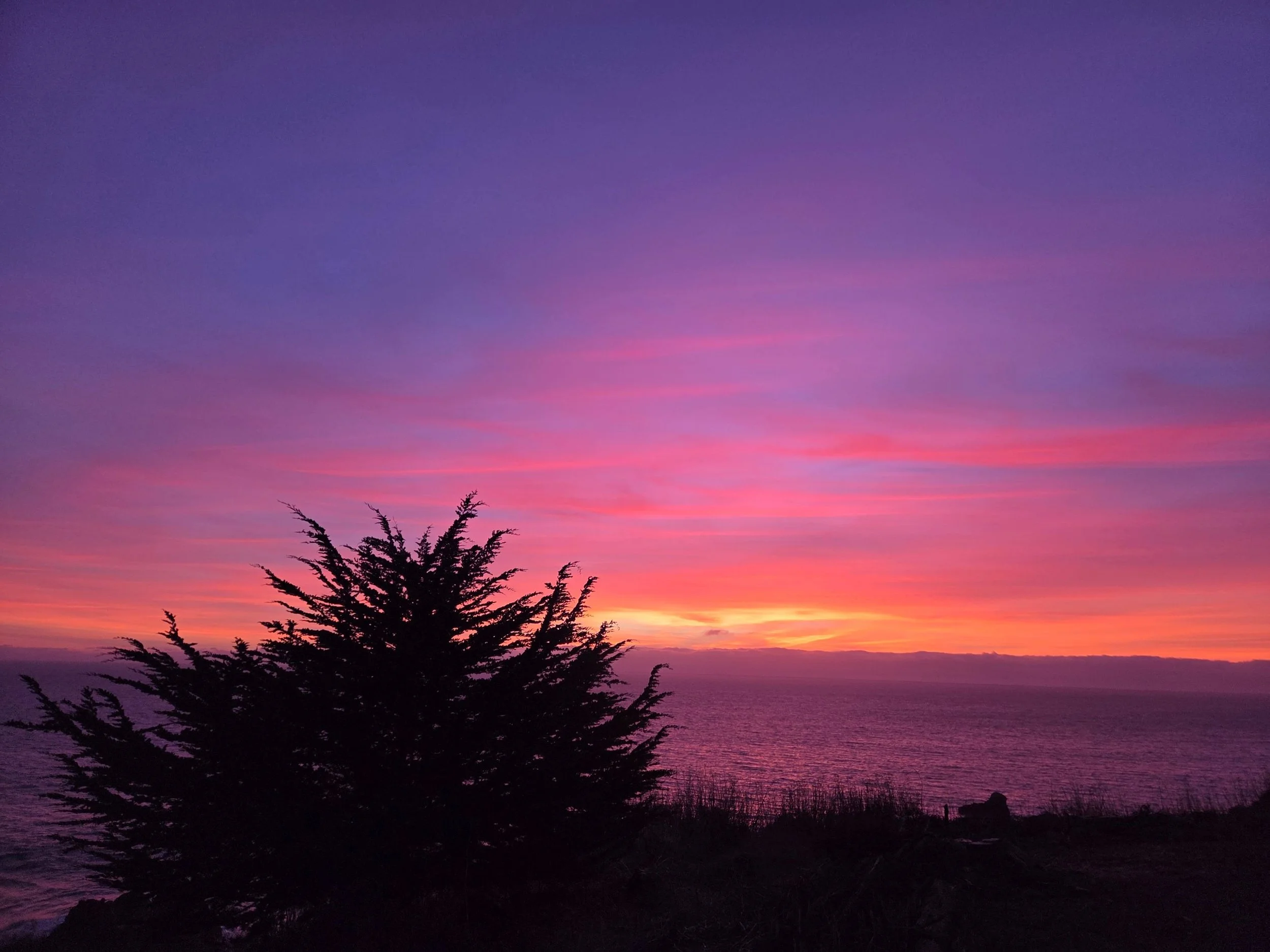 sunsetd.jpg