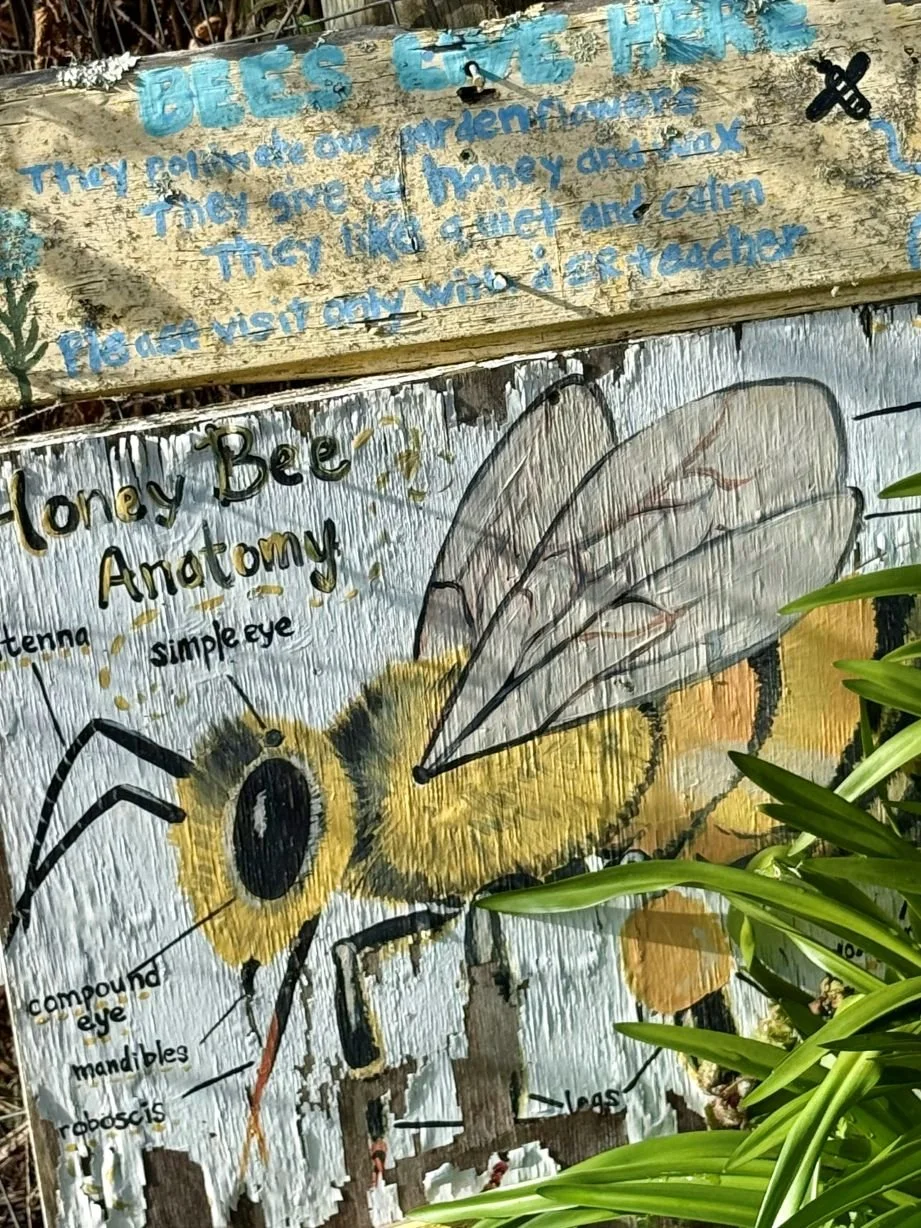bee art.jpg