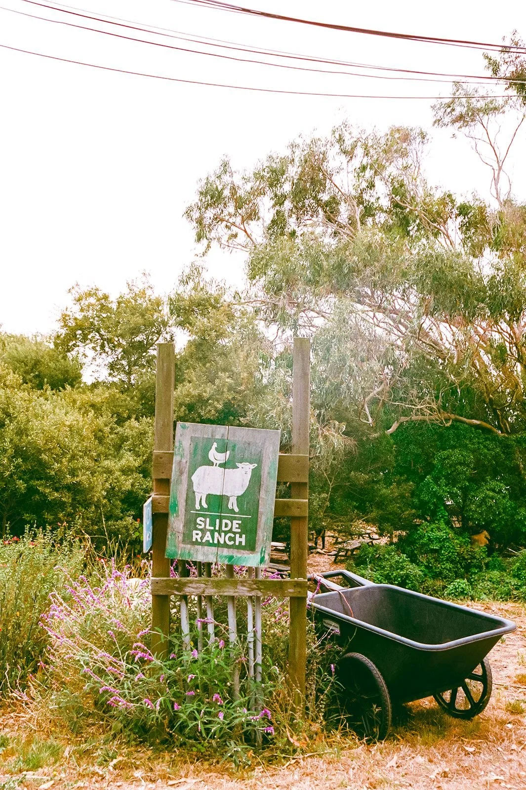 Slide Ranch Farm to Belly FILM-35_websize.jpg