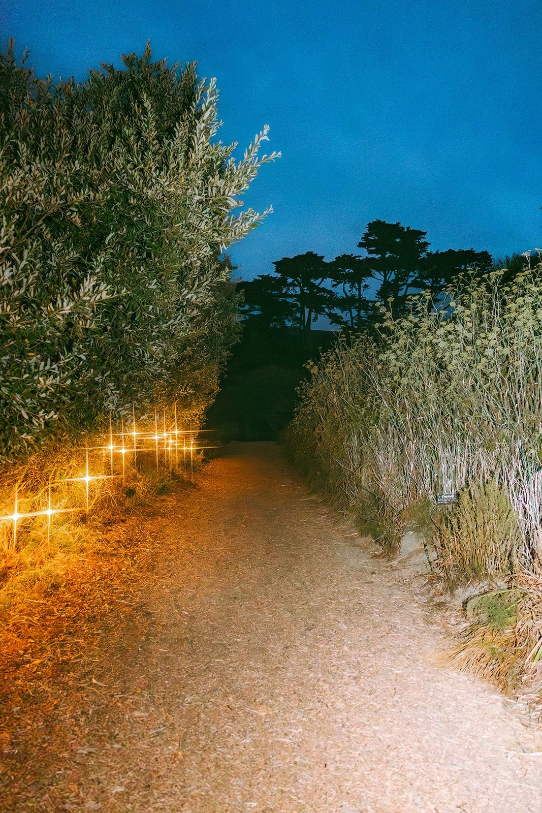 Slide Ranch Farm to Belly-152_websize.jpg