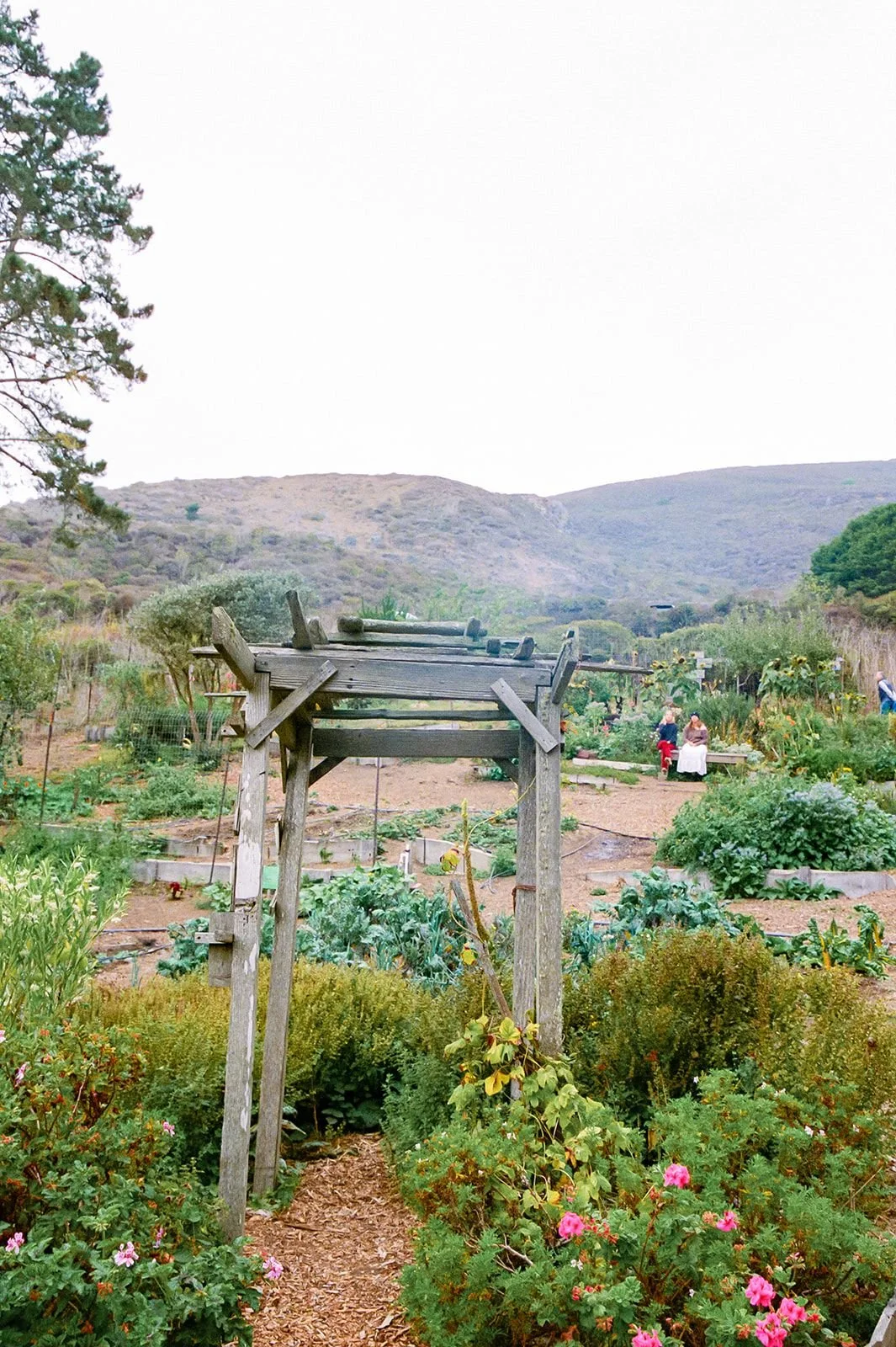 Slide Ranch Farm to Belly FILM-23_websize.jpg