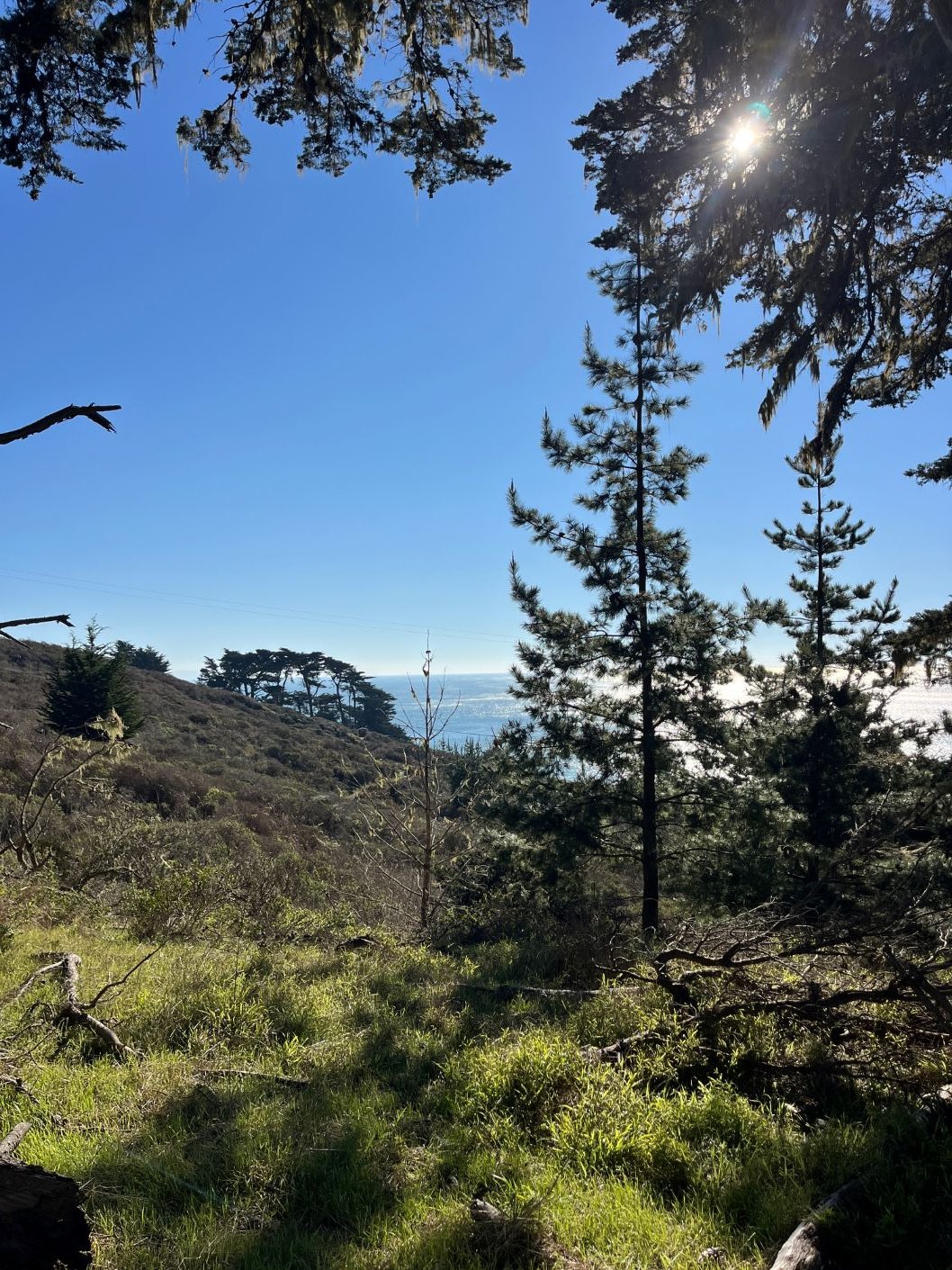 Whispers of Spring — Slide Ranch