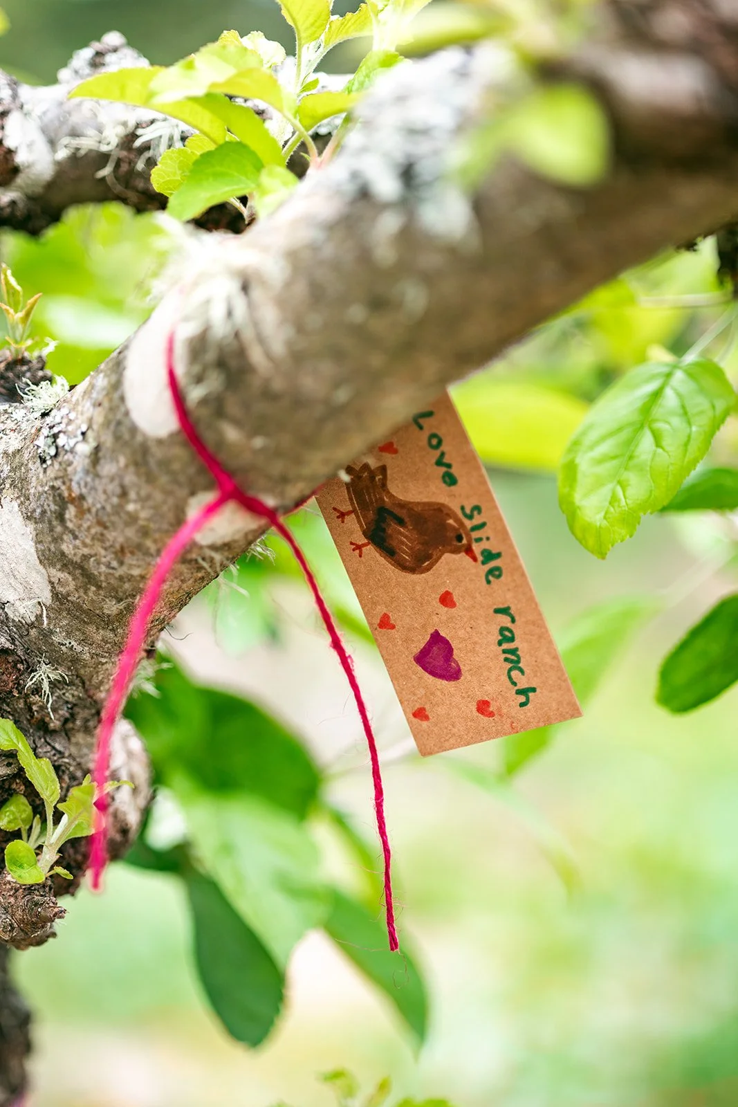 Slide Ranch Spring Fling 2026-395_websize.jpg