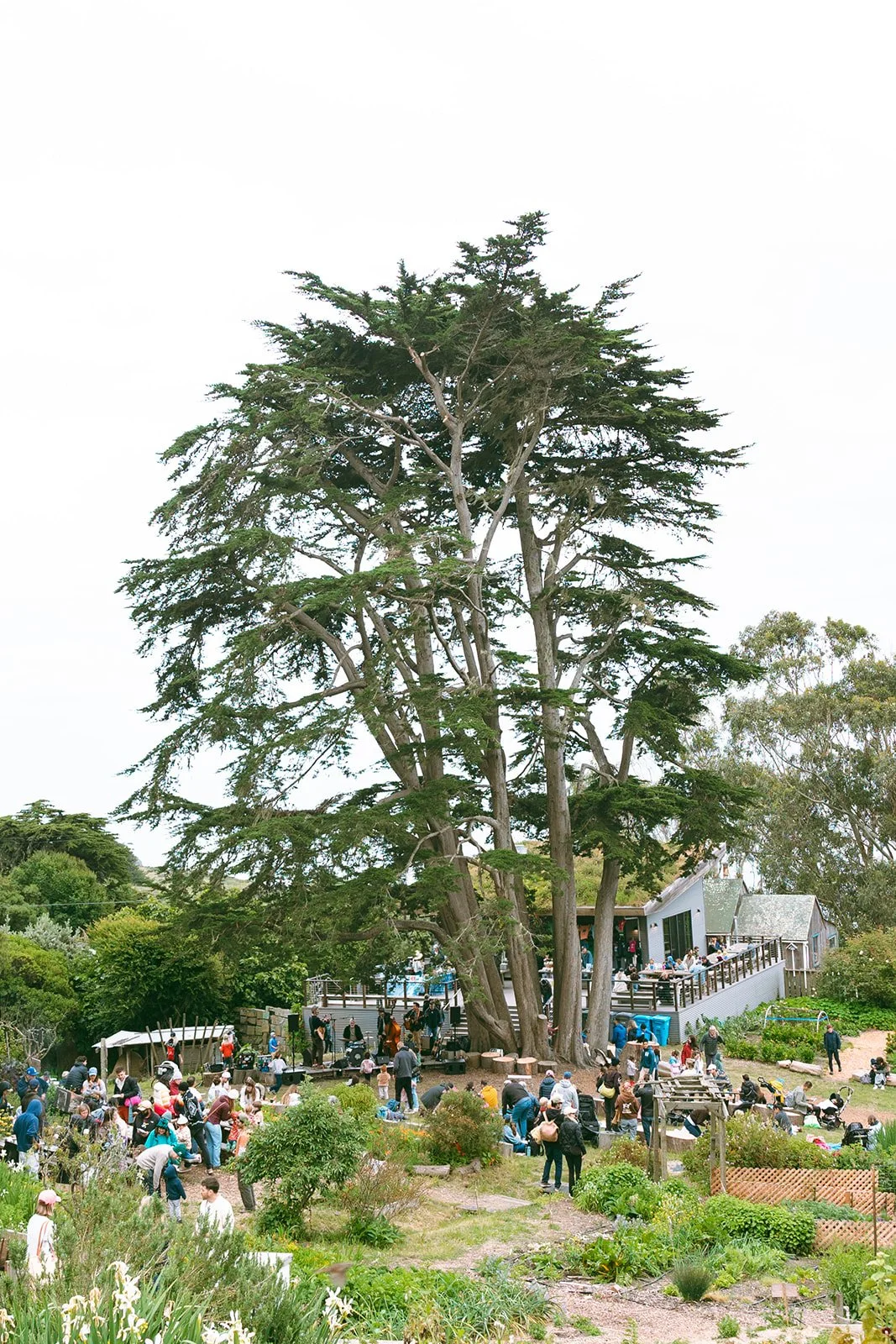 Slide Ranch Spring Fling 2026-388_websize.jpg