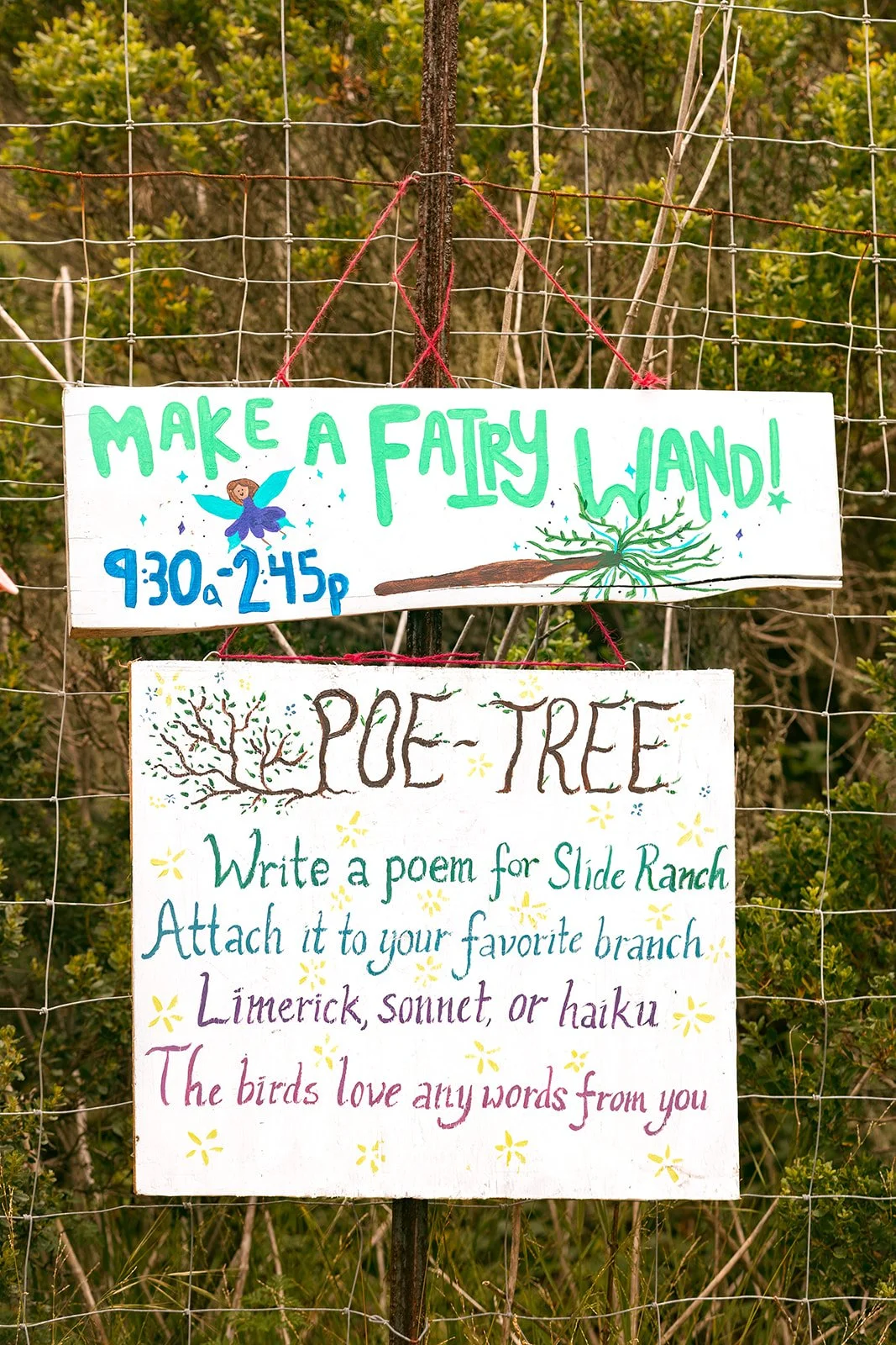 Slide Ranch Spring Fling 2026-384_websize.jpg