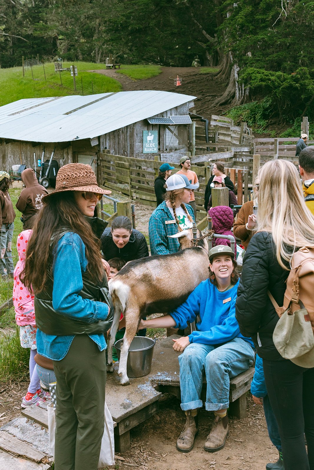 Slide Ranch Spring Fling 2026-127_websize.jpg