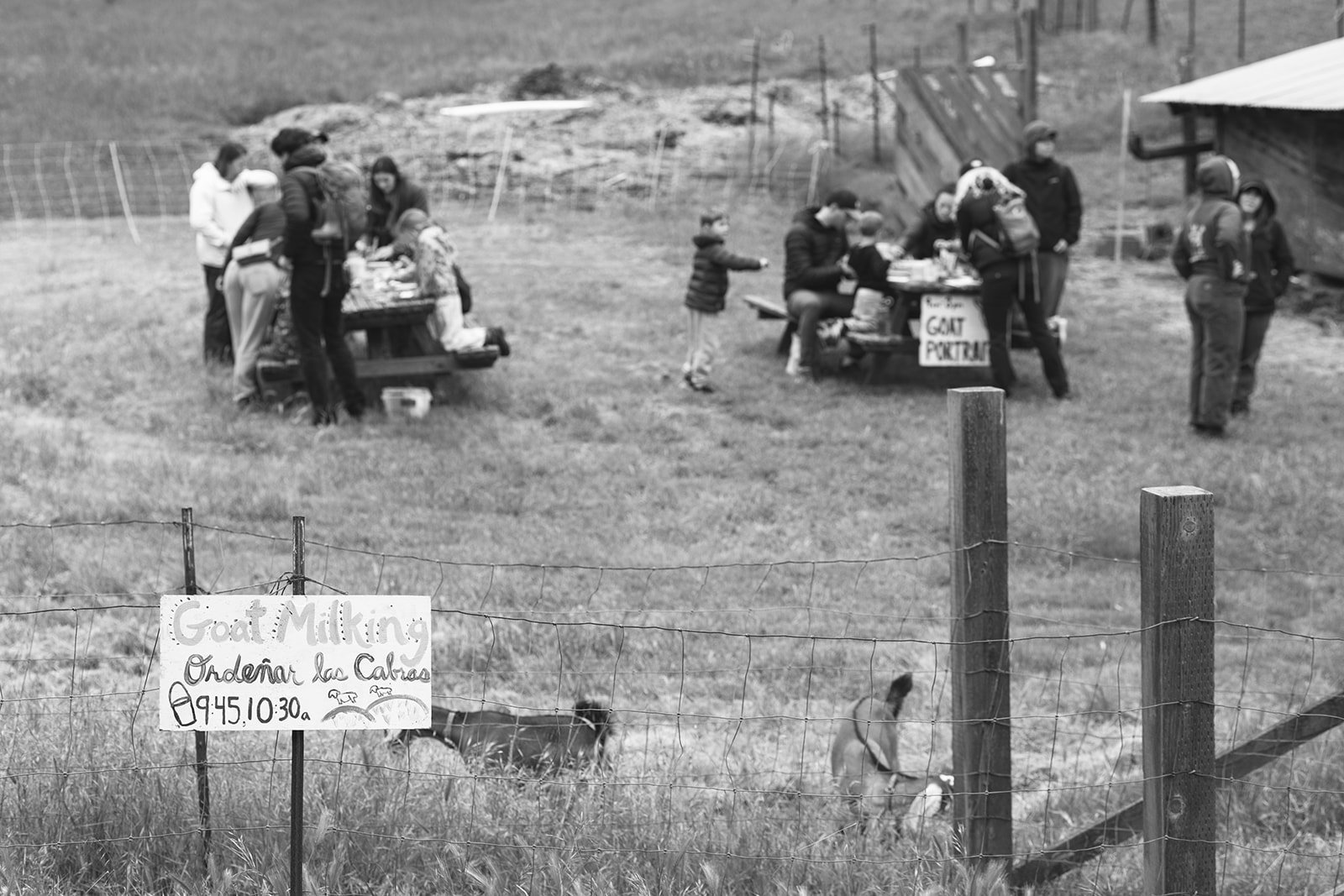 Slide Ranch Spring Fling 2026-60_websize.jpg