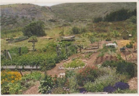 historical garden.jpg