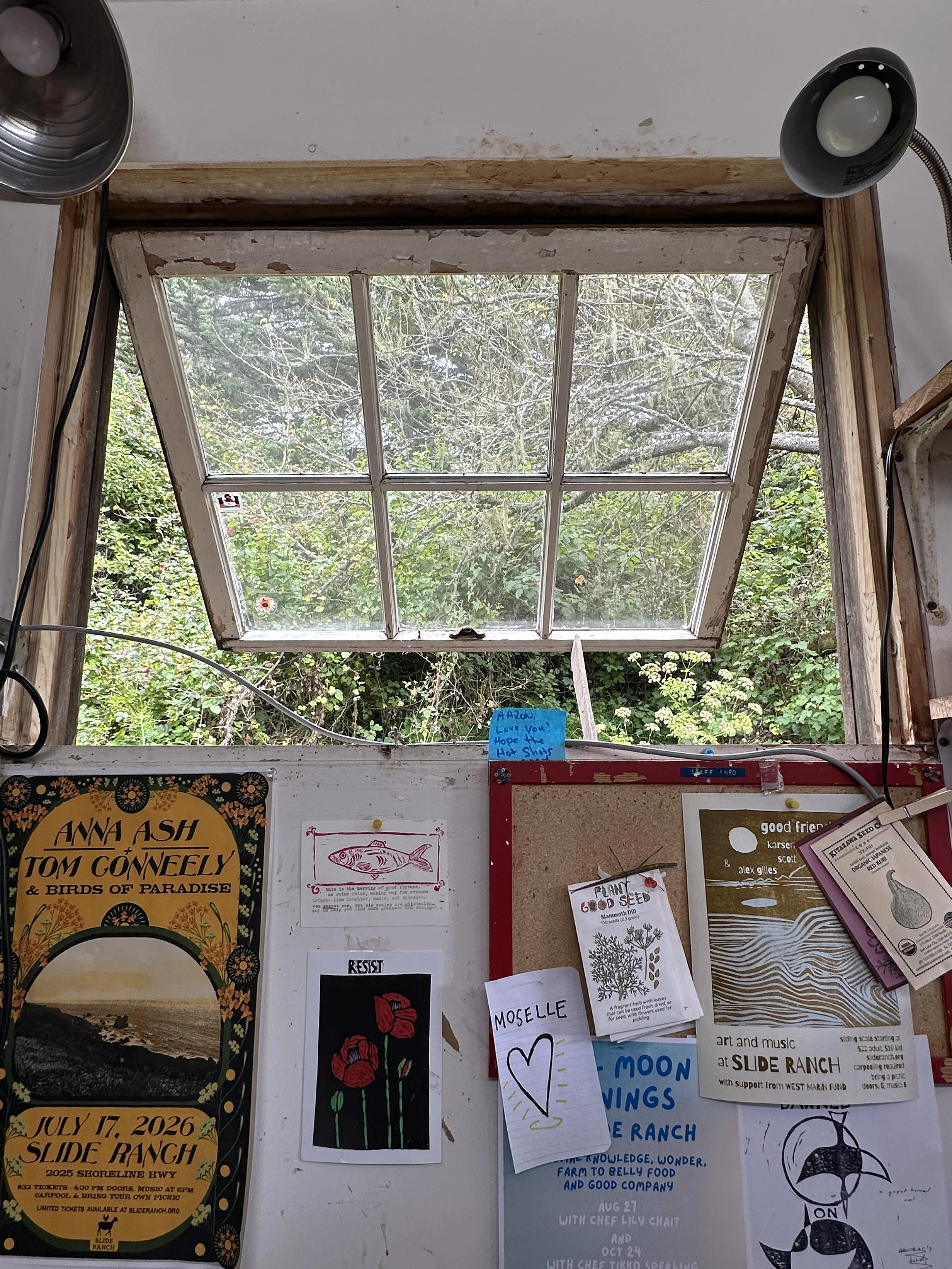 IMG_0941.JPG