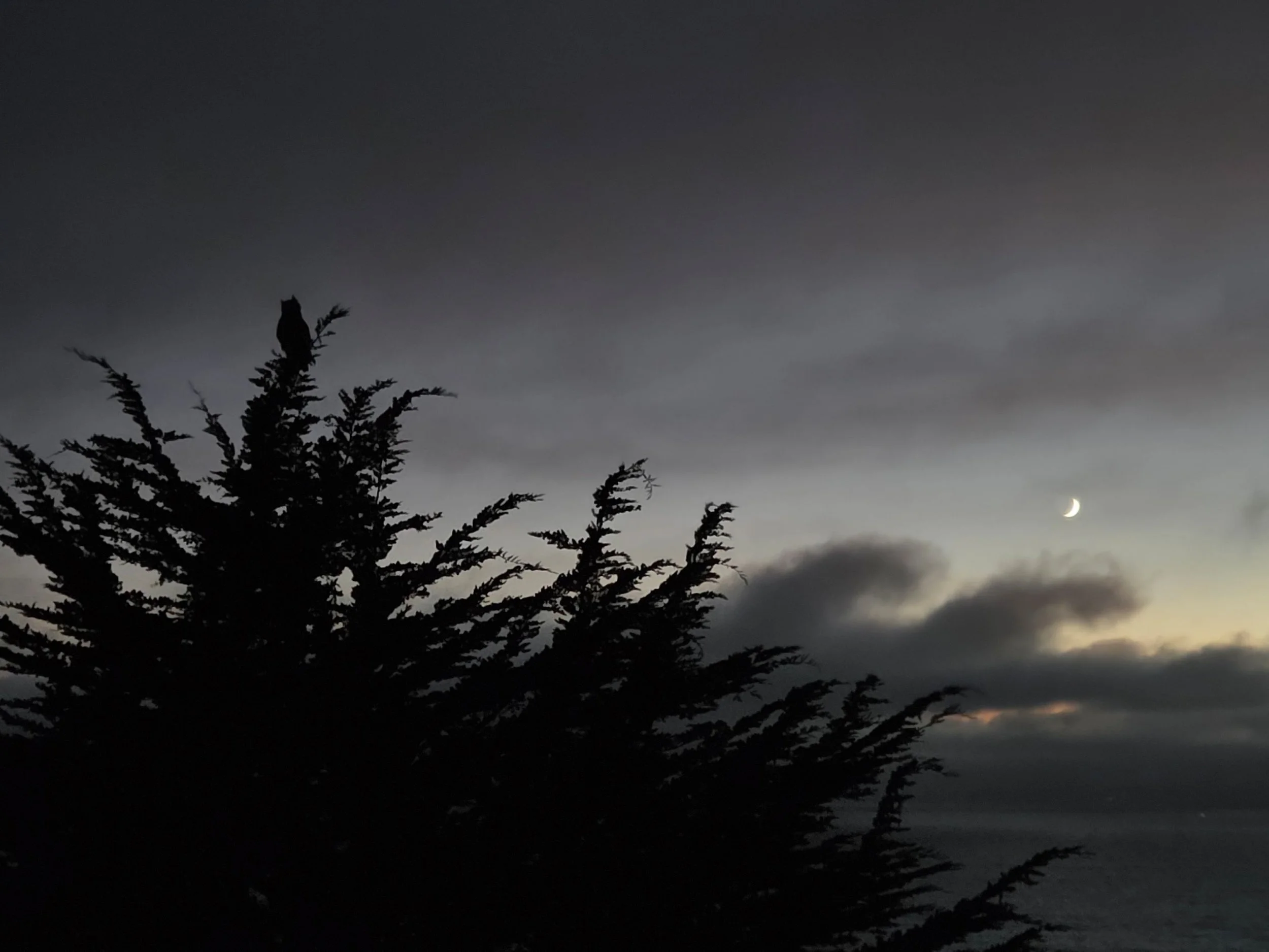 moon sky.jpg