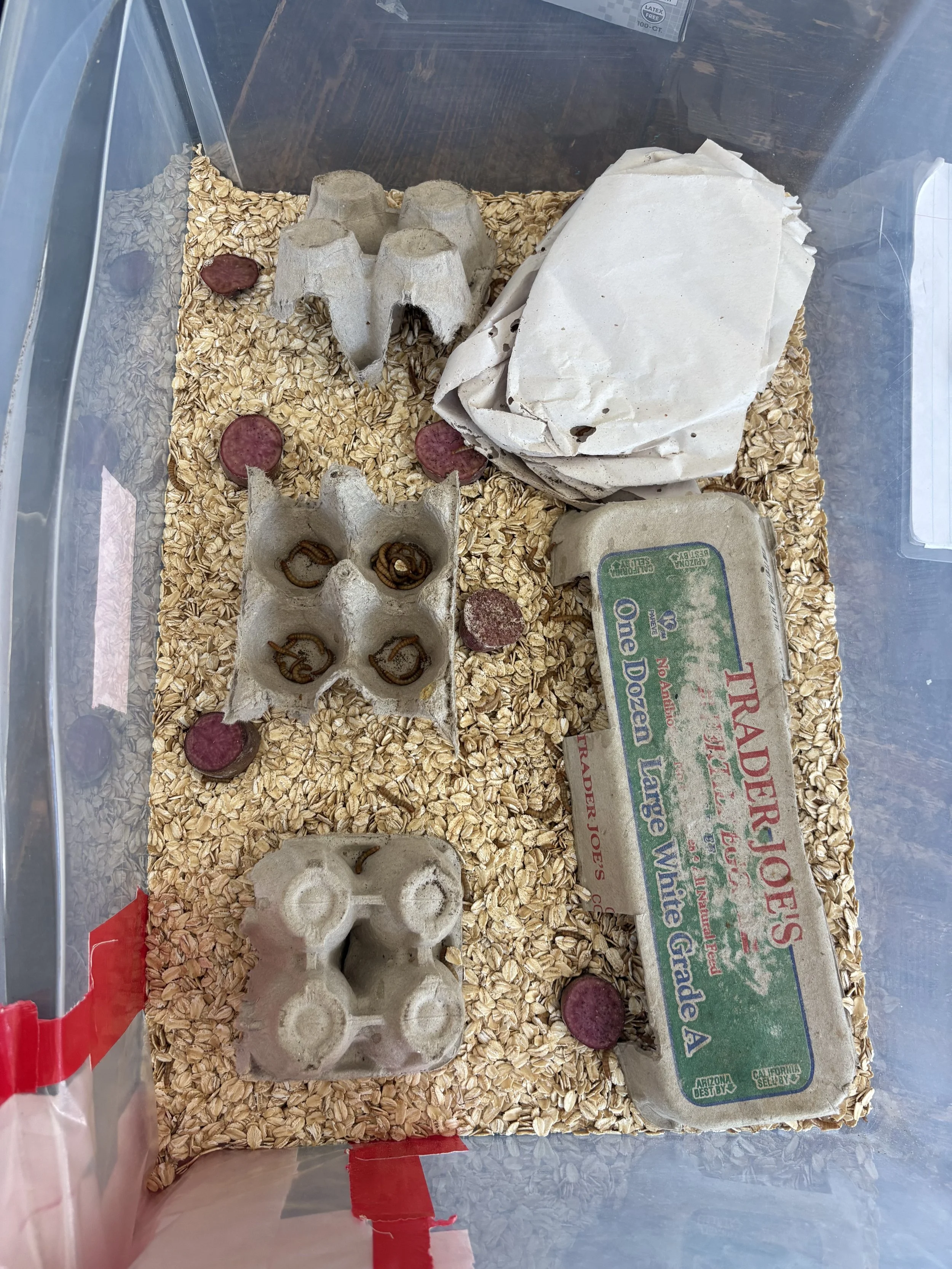 IMG_6324.jpeg