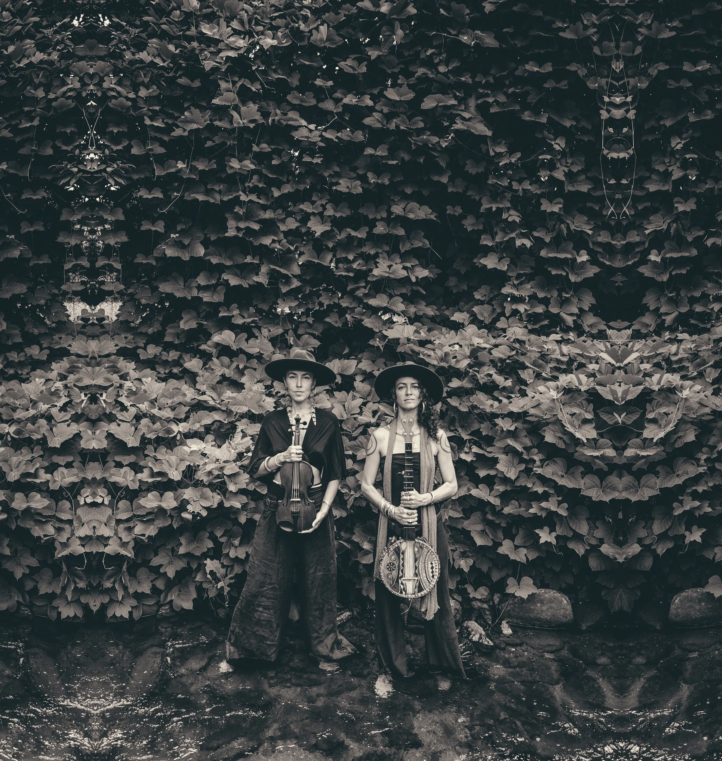 Rising Appalachia: A Folk Music and Farm Experience