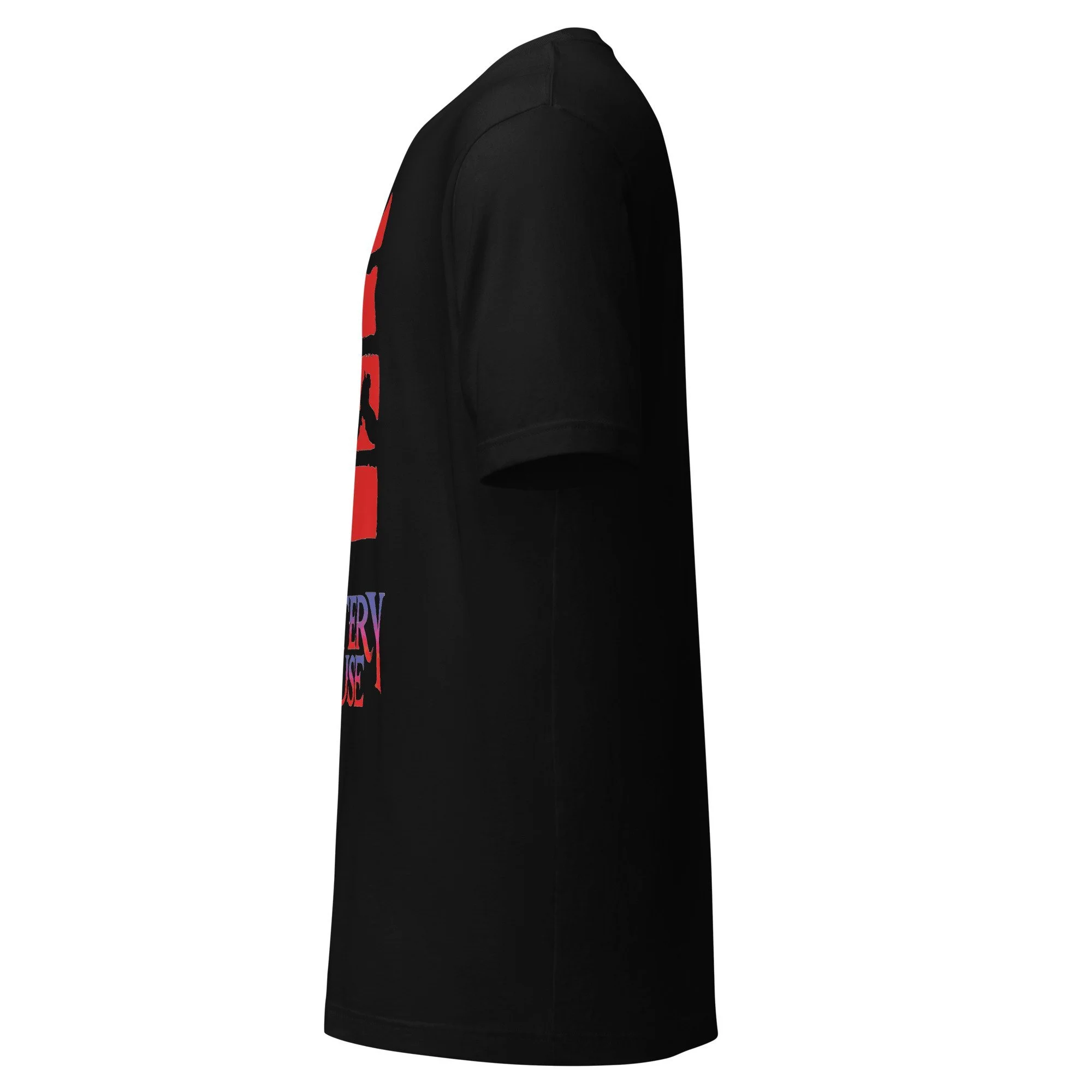 unisex-staple-t-shirt-black-left-6abb0c2a4aab2.jpg