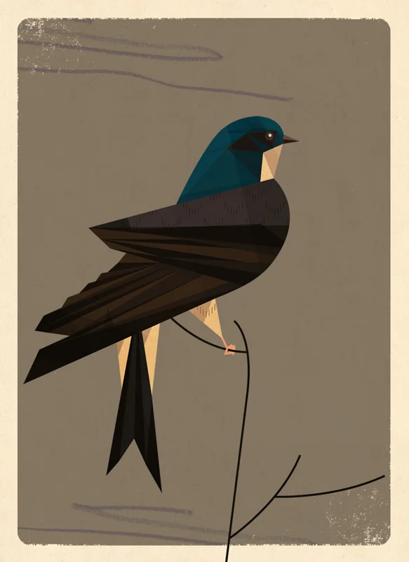 housemartin_good.jpg